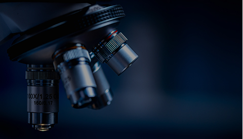 ¹ÚÓ®¹ú¼Ê¡¤(ÖйúÓÎ)ÓÐÏÞ¹«Ë¾¹ÙÍø